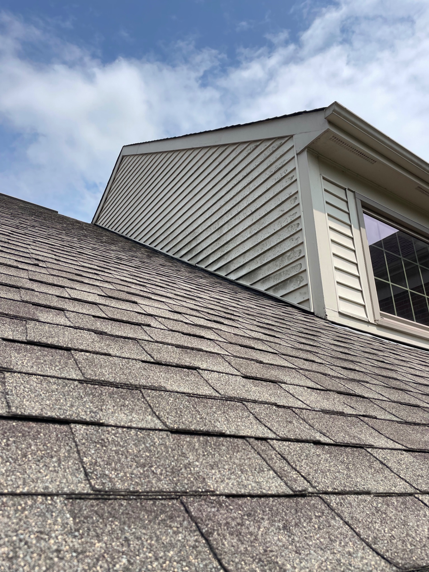 Before roof soft washing in Northern Kentucky