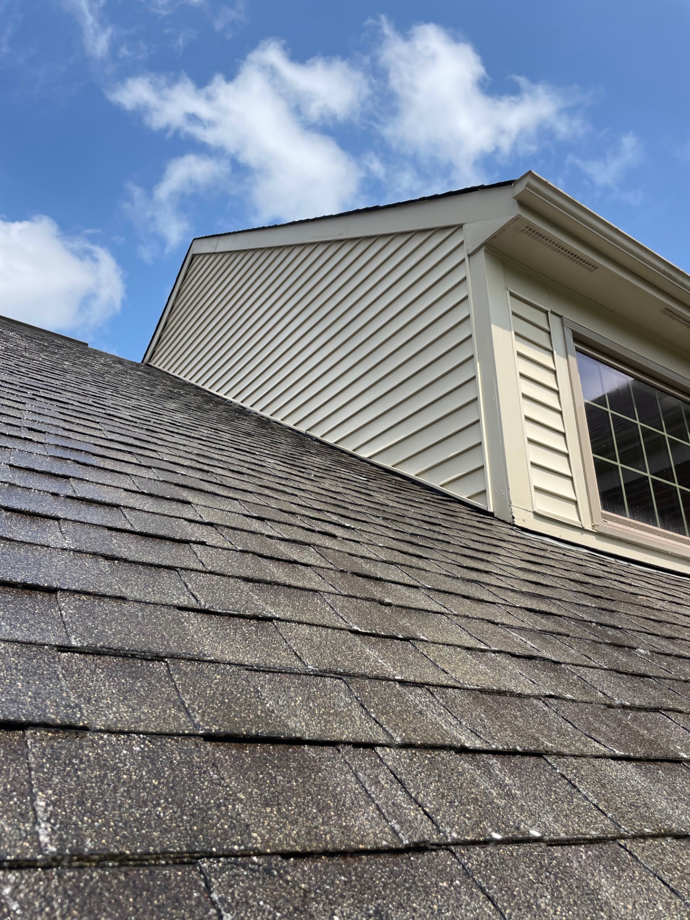 After roof soft washing in Northern Kentucky
