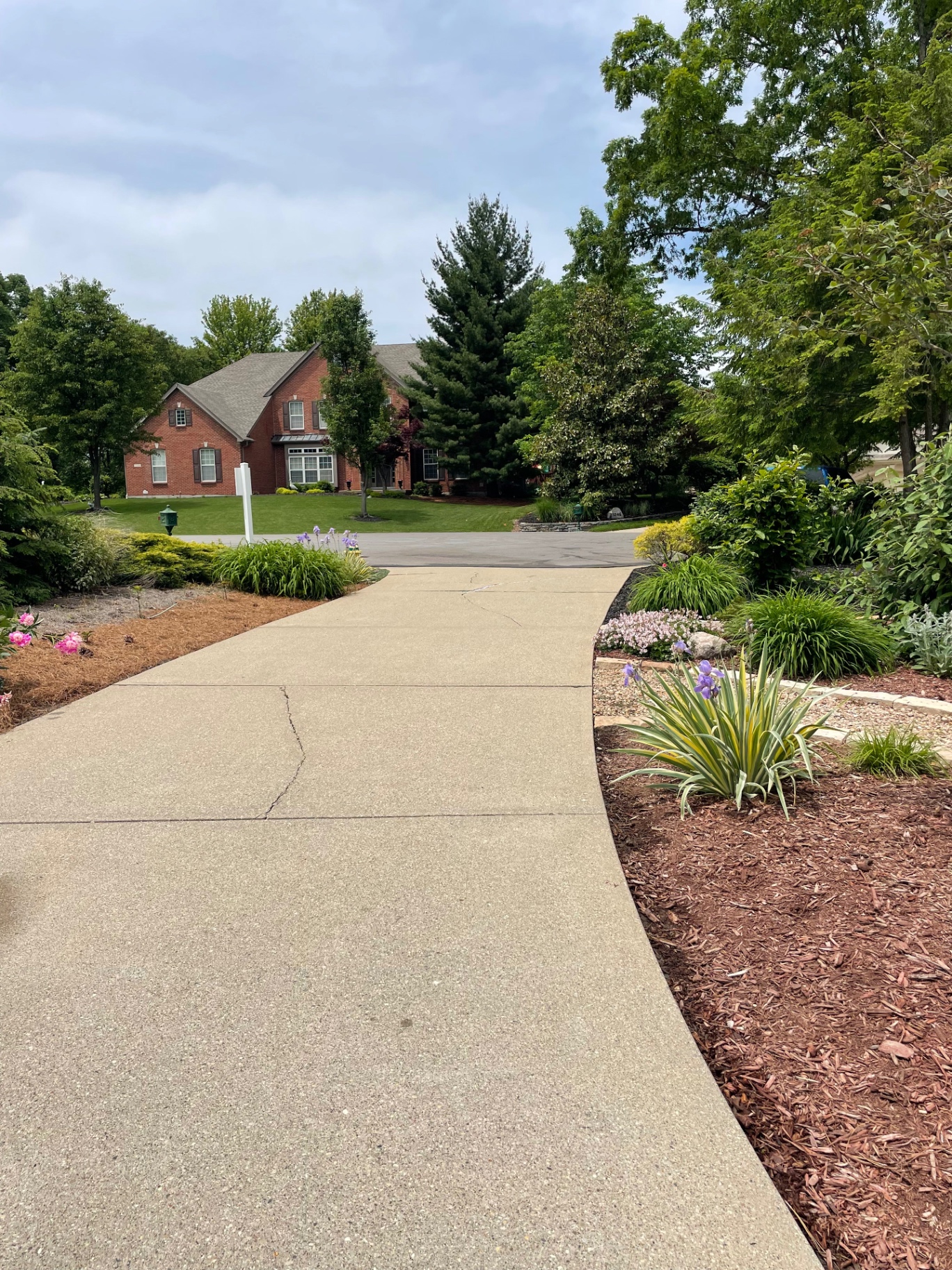 After driveway cleaning in Northern Kentucky